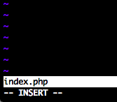 vimのINSERTモード